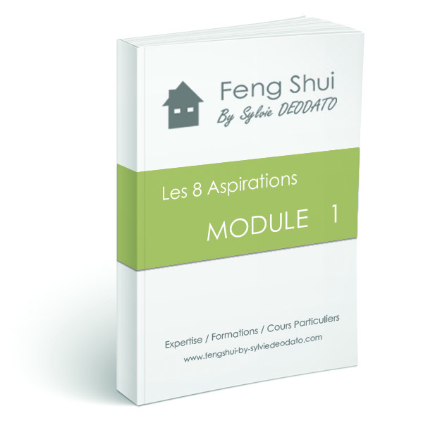 module 1 feng shui by sylvie deodato